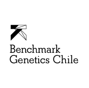 Benchmark Chile